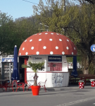 Milchpilz